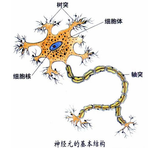 如何才能高效学习，99%的人不知道的高效学习法 免费资源 工作 IT职场 好文分享 第2张
